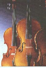 Violin